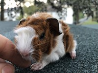 casper (1) (Kopie) casper (1) (Kopie)