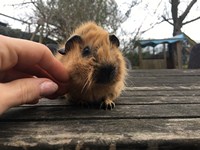 jamie (Kopie) jamie (Kopie)