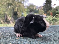 legolas (2) (Kopie) legolas (2) (Kopie)
