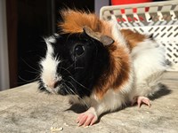 naomi (Kopie) naomi (Kopie)
