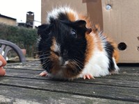 olga (Kopie) olga (Kopie)