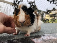 orlando (Kopie) orlando (Kopie)