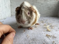 Catch Me (1) (Kopie) Catch Me (1) (Kopie)