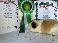 Monte Recklinghausen 25 (2) (Kopie)