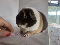 Naomi (1) (Kopie) Naomi (1) (Kopie)
