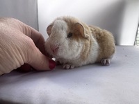 Takeshi (3) (Kopie)2