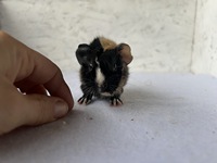 alberto (4) (Kopie)