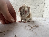 catch me (2) (Kopie)