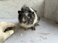 südseefeeling (2) (Kopie) südseefeeling (2) (Kopie)